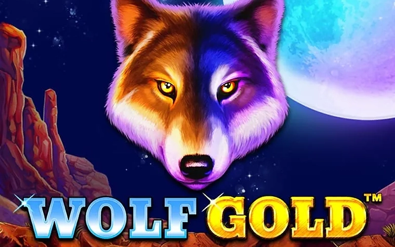 Caza grandes premios en Wolf Gold en 1xSlots.